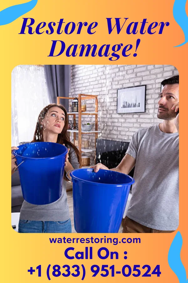 water restoration Galaxy Disaster Recovery Force Manton