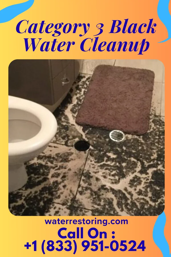 Category 3 Black Water Cleanup in Manton, MI