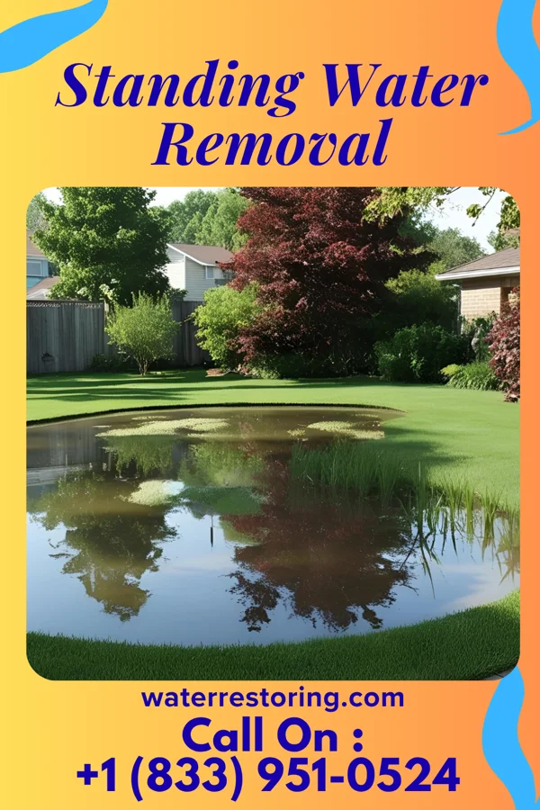 Standing Water Removal in Manton, MI